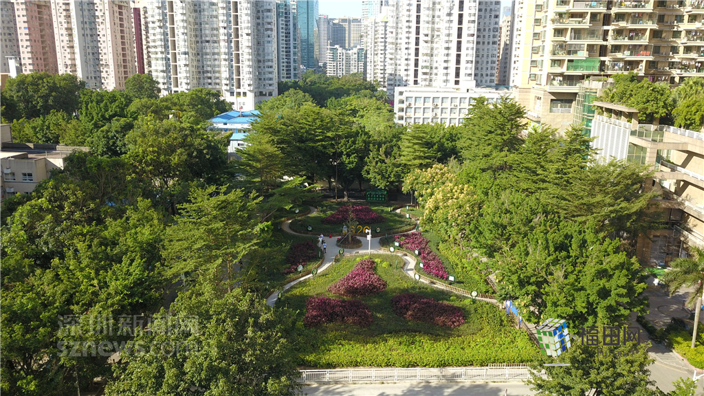  鵬城眼|我的實事我做主！5年辦理“民生微實事”6774件}