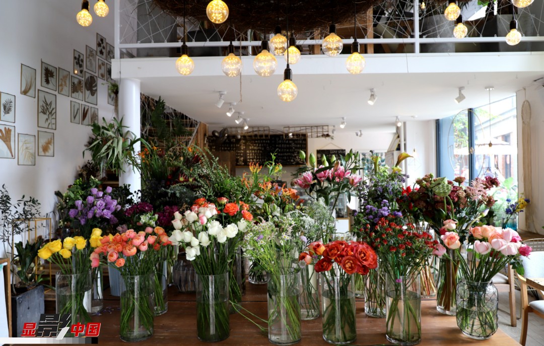 從決定從事鮮花這個行業(yè)以來，王黎媛花了很多的時間和精力去學(xué)習(xí)花藝，不斷提高自己的專業(yè)水平。而在小店的選址、裝修和布置方面，王黎媛同樣花費(fèi)了不少心思，“希望我的小店和鮮花一樣，是有溫度的、鮮活的?！绷硗猓⌒〉幕ǖ暌膊刂蟠蟮膲粝?，“我們云南鮮花很多，但真正做成品牌的卻很少，這是非?？上У?。我希望把我的店做成品牌，不光能扎根昆明，還能落地到云南的其他城市，甚至省外的城市?！眻D為王黎媛的花店一角。新華網(wǎng) 周亞平/攝 念新洪/文