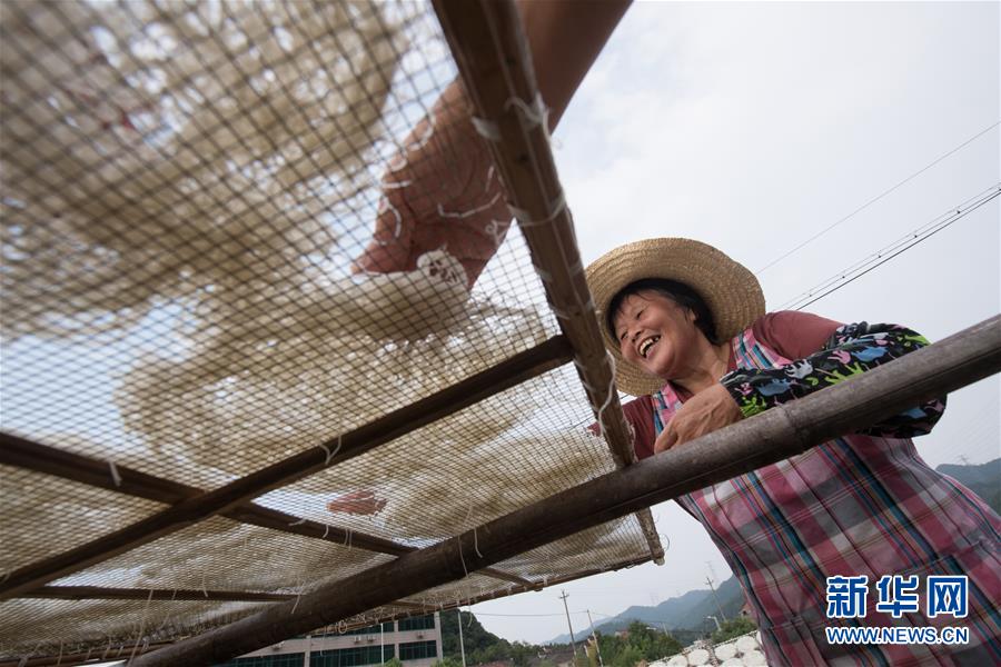 （社會）（3）秋風(fēng)起 曬面忙